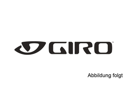 Giro Vivid Shield: Orbit/Aeria