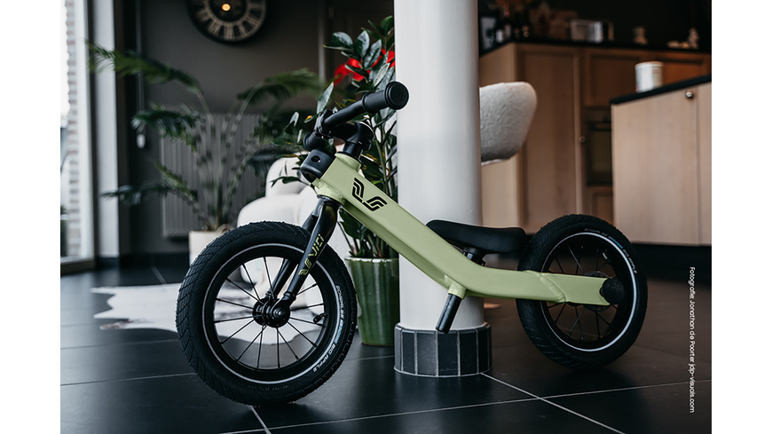 Vici Bike 12 Zoll vintage green