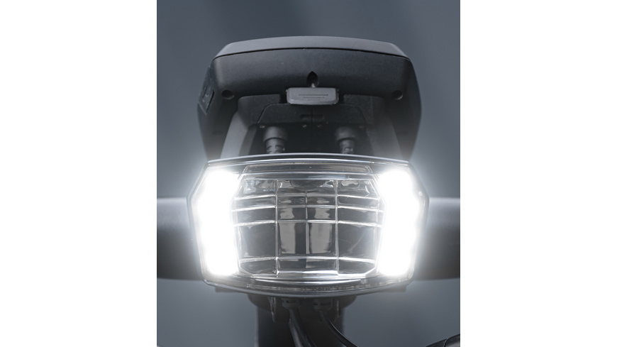 Trelock LS 990 LIGHTHAMMER Pro 200/250 LUX E-Bike (12V) / Headlight