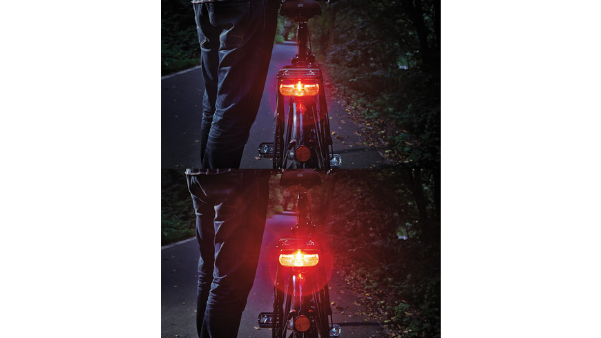 Trelock LS 614 DUO FLAT E-Bike Signal (6-12V) / Rear Light Trelock LS 614 DUO FLAT E-Bike Signal (6-12V) / Rear Light
