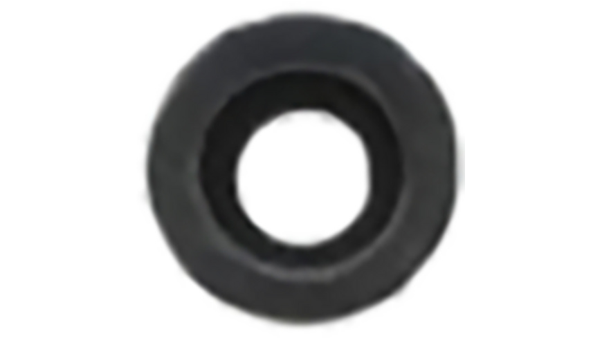 Park Tool 1074: Rubber Gasket PFP-2