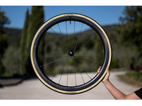 Pirelli P ZERO Race TLR