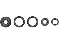 Park Tool 1586K Head Seal Kit - INF-1 & INF-2