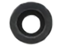 Park Tool 1074: Rubber Gasket PFP-2
